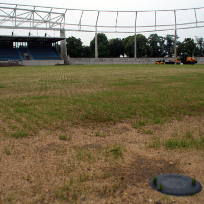 30.06.2023: Das erste Gras im Heinz-Steyer-Stadion kommt zum Vorschein
