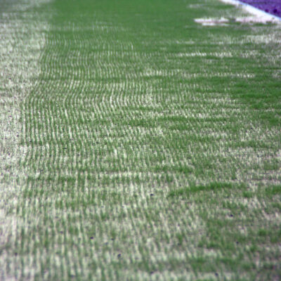 30.06.2023: Das erste Gras im Heinz-Steyer-Stadion kommt zum Vorschein